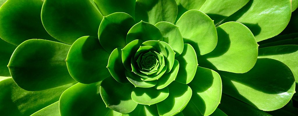 Что такое экологичность цели и как ее проверить