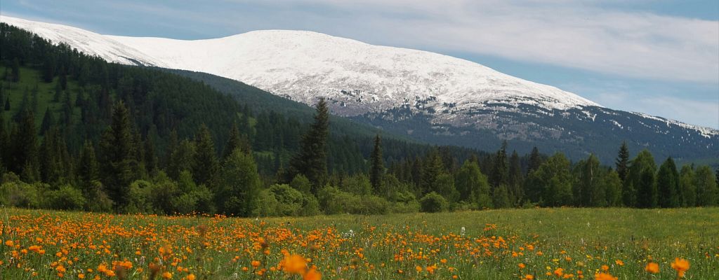Что взять с собой в горы: полный список вещей для путешествий на Алтай, Камчатку или Урал