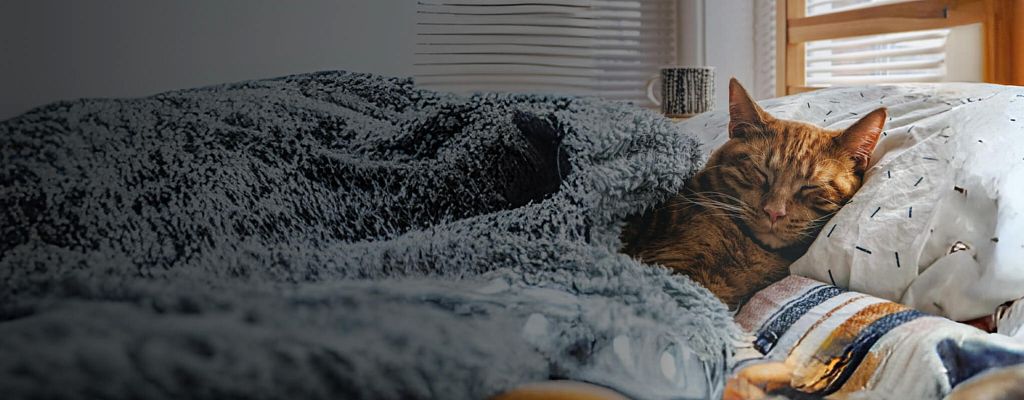 Как восстановить режим сна за 4 шага