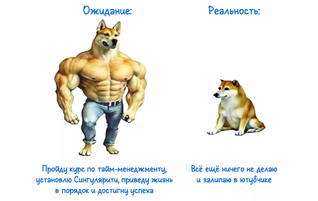 Знаменитый мем Ожидание-реальность