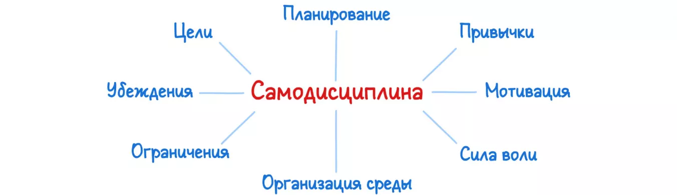 Самодисциплина — это система организации жизни