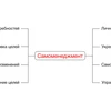 Самоменеджмент
