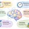 Исполнительные функции