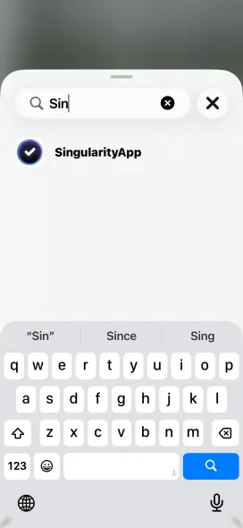 Поиск SingularityApp