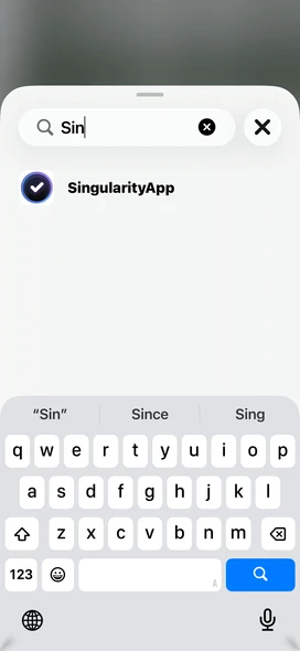 Поиск SingularityApp